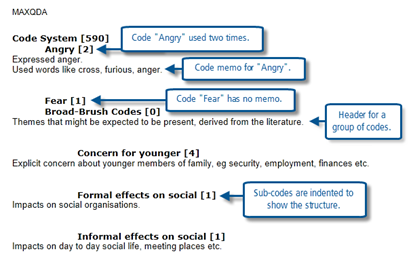 Chapter 9 – Coding Schemes (MAXQDA) | SAGE Companion