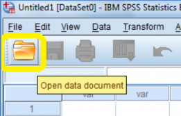 IBM Open data document