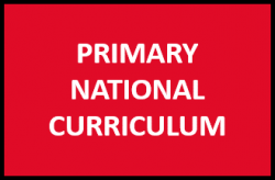 Primary National Curriculum