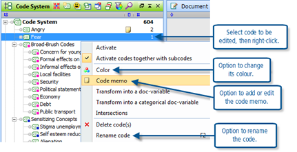 Figure 7.1.3 – Context menu on a code name in the Code System