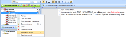 Figure 5.5.3 – Renaming a text document