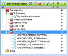 Figure 5.8.2 – Document System window after importing focus group files
