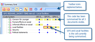 Figure 10.2.2 – Thematic Grid element of Summary Grid window