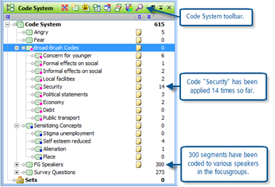 Figure 8.6.1 – Frequencies in the Code System window