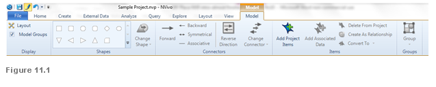 Nvivo image